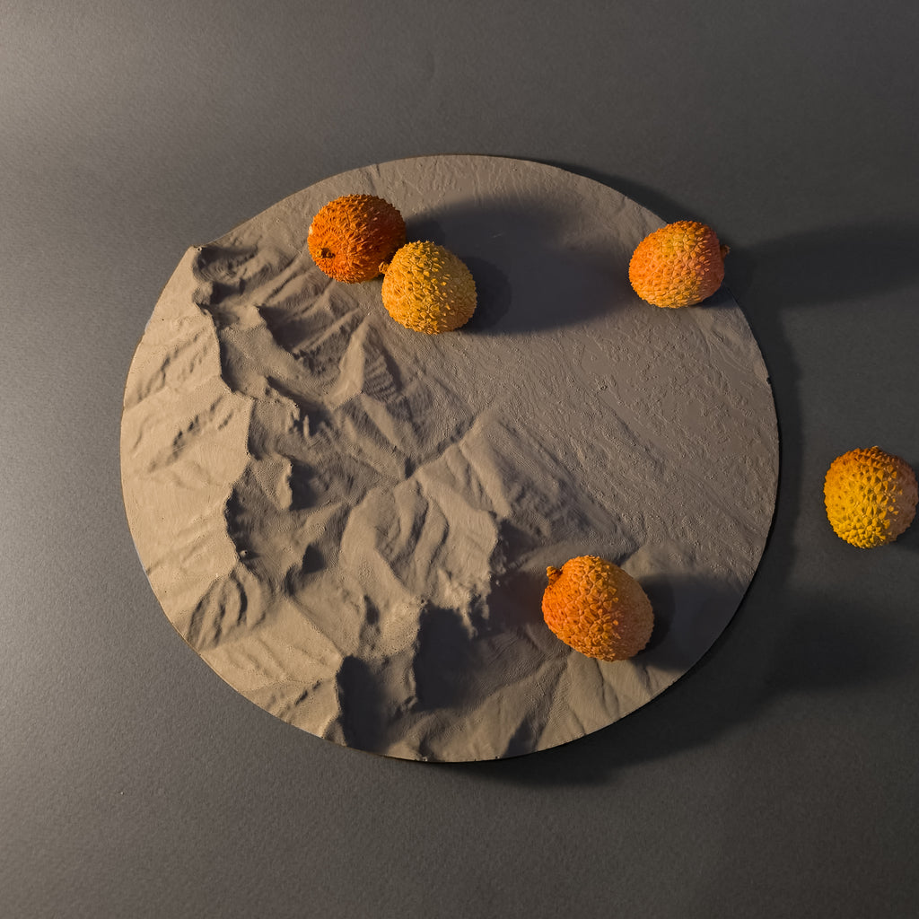 This tray was made with Stonelith and inspired by the Canmore area of Canadian Rockies. Lychees show the dimensions of this designer tray and are used to add extra touch to the composition 